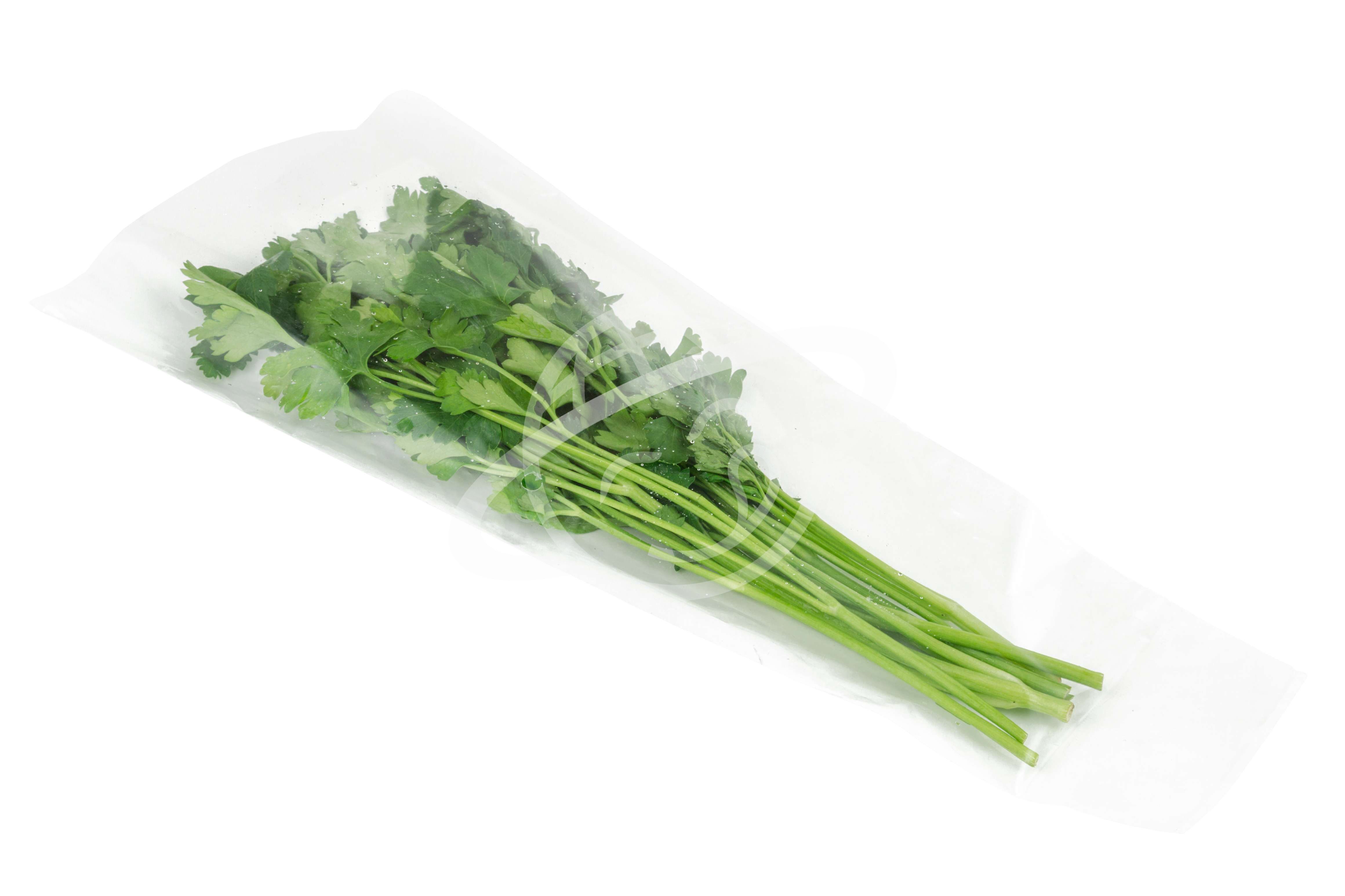 Купить Зелень Оптом В Спб